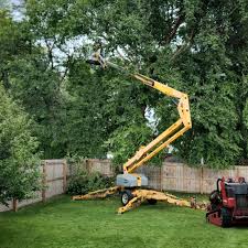 Best Tree Risk Assessment  in Bruceville Eddy, TX